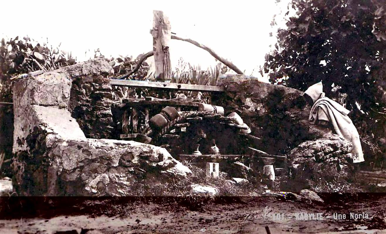 Puits typiques d'AFN - 001.jpg